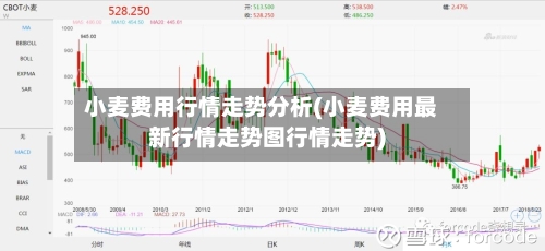 小麦费用行情走势分析(小麦费用最新行情走势图行情走势)