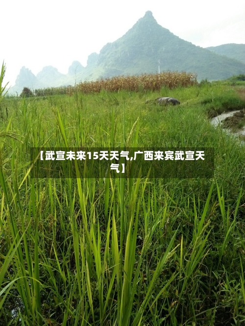 【武宣未来15天天气,广西来宾武宣天气】