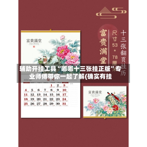 辅助开挂工具“嘟嘟十三张挂正版”专业师傅带你一起了解(确实有挂