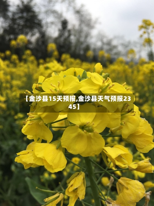 【金沙县15天预报,金沙县天气预报2345】