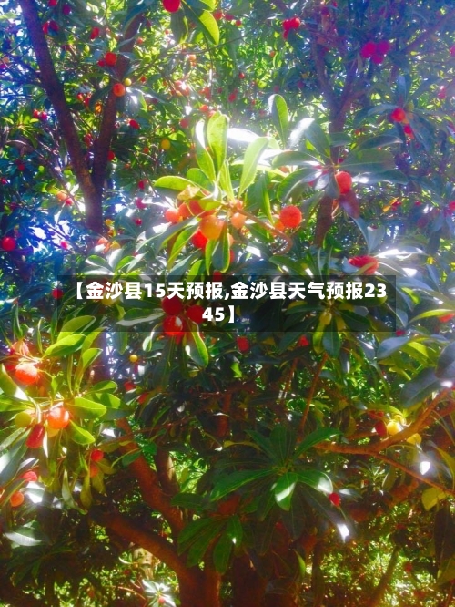 【金沙县15天预报,金沙县天气预报2345】