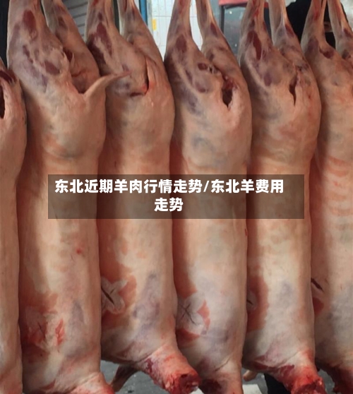 东北近期羊肉行情走势/东北羊费用走势