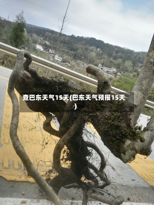 查巴东天气15天(巴东天气预报15天)