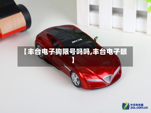 【丰台电子狗限号吗吗,丰台电子眼】