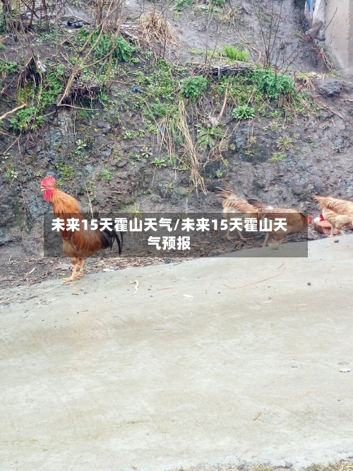 未来15天霍山天气/未来15天霍山天气预报