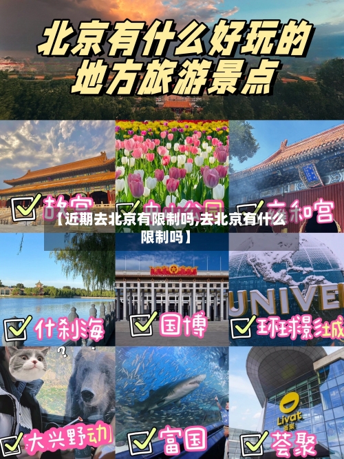 【近期去北京有限制吗,去北京有什么限制吗】