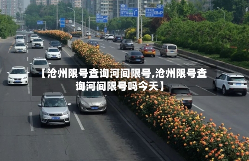 【沧州限号查询河间限号,沧州限号查询河间限号吗今天】