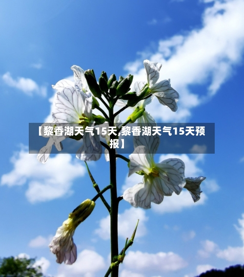 【黎香湖天气15天,黎香湖天气15天预报】