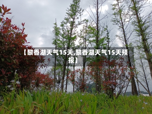 【黎香湖天气15天,黎香湖天气15天预报】