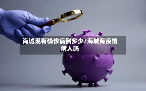 海城现有确诊病例多少/海城有疫情病人吗