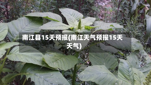 南江县15天预报(南江天气预报15天天气)