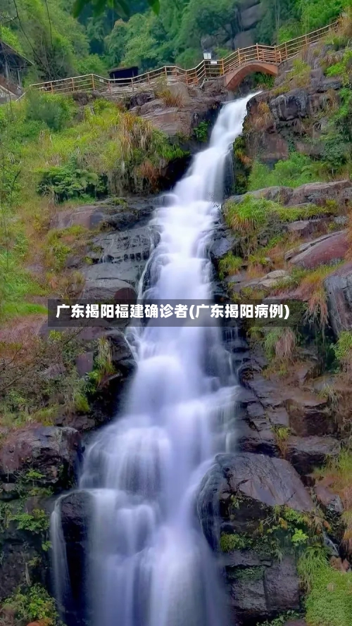 广东揭阳福建确诊者(广东揭阳病例)