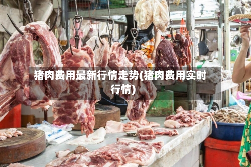猪肉费用最新行情走势(猪肉费用实时行情)