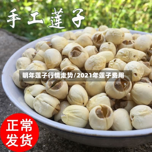 明年莲子行情走势/2021年莲子费用