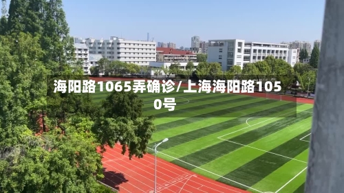 海阳路1065弄确诊/上海海阳路1050号
