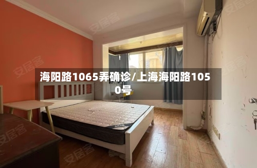 海阳路1065弄确诊/上海海阳路1050号