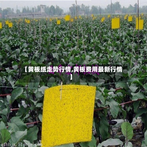 【黄板纸走势行情,黄板费用最新行情】