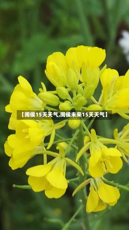 【闽侯15天天气,闽侯未来15天天气】