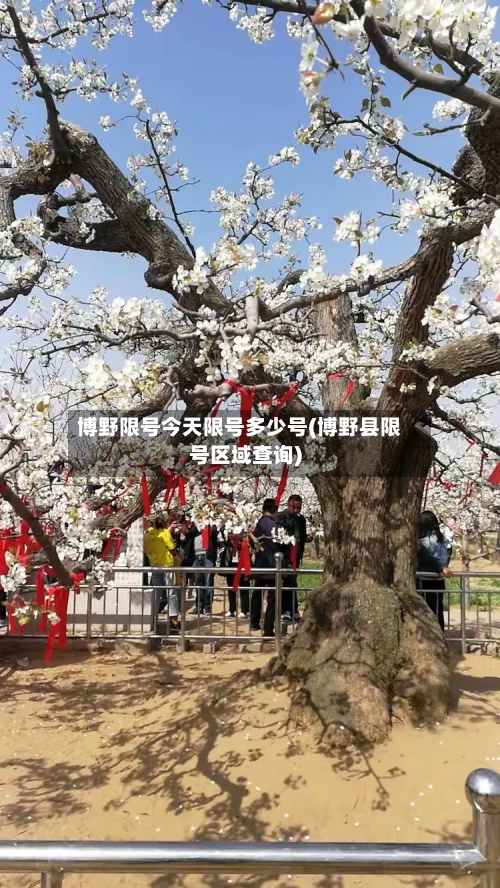 博野限号今天限号多少号(博野县限号区域查询)
