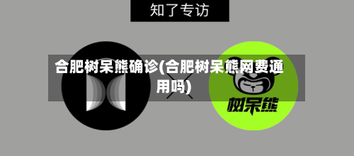 合肥树呆熊确诊(合肥树呆熊网费通用吗)
