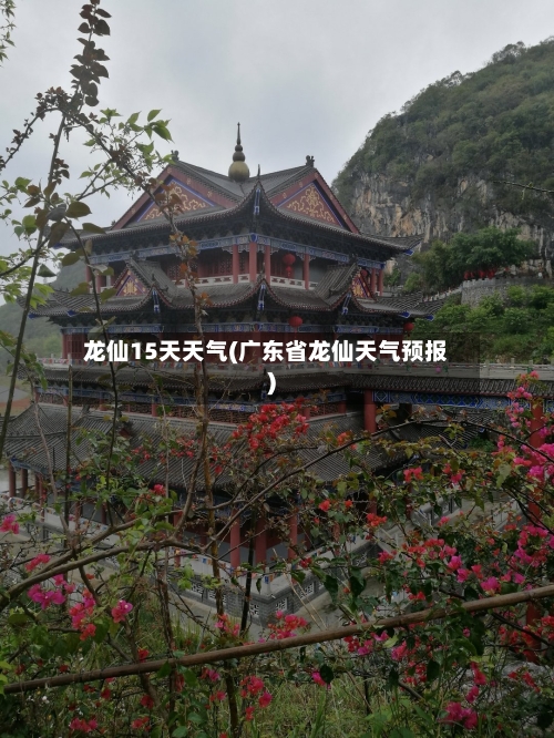 龙仙15天天气(广东省龙仙天气预报)