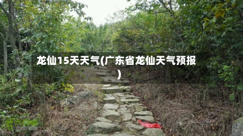 龙仙15天天气(广东省龙仙天气预报)