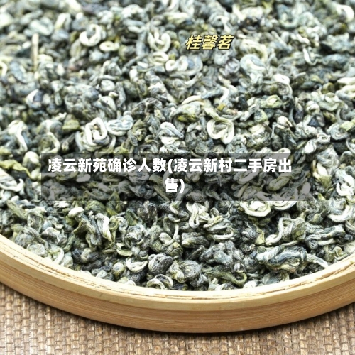 凌云新苑确诊人数(凌云新村二手房出售)