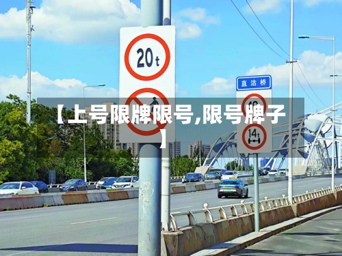 【上号限牌限号,限号牌子】