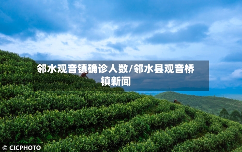 邻水观音镇确诊人数/邻水县观音桥镇新闻
