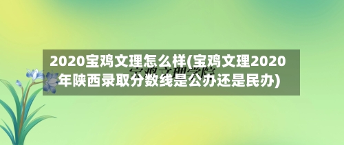 2020宝鸡文理怎么样(宝鸡文理2020年陕西录取分数线是公办还是民办)