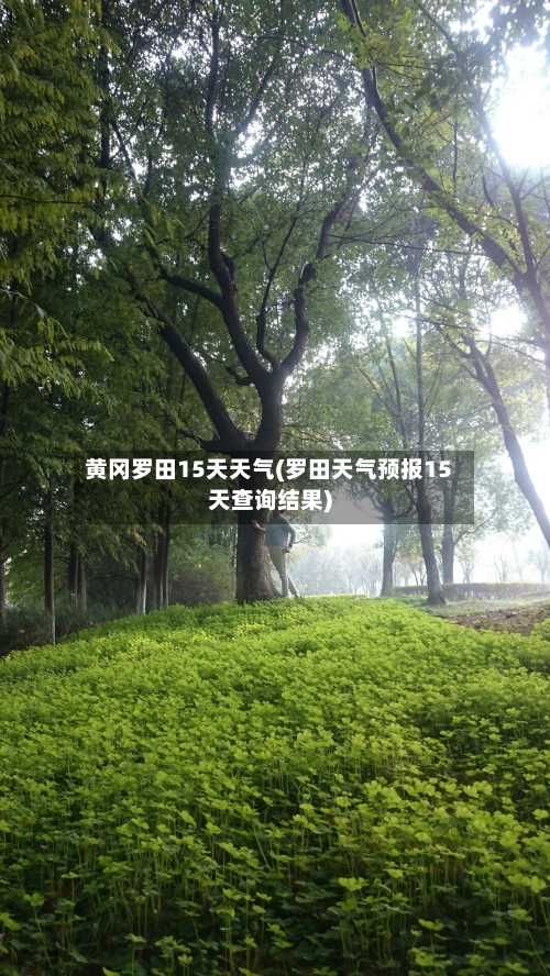 黄冈罗田15天天气(罗田天气预报15天查询结果)