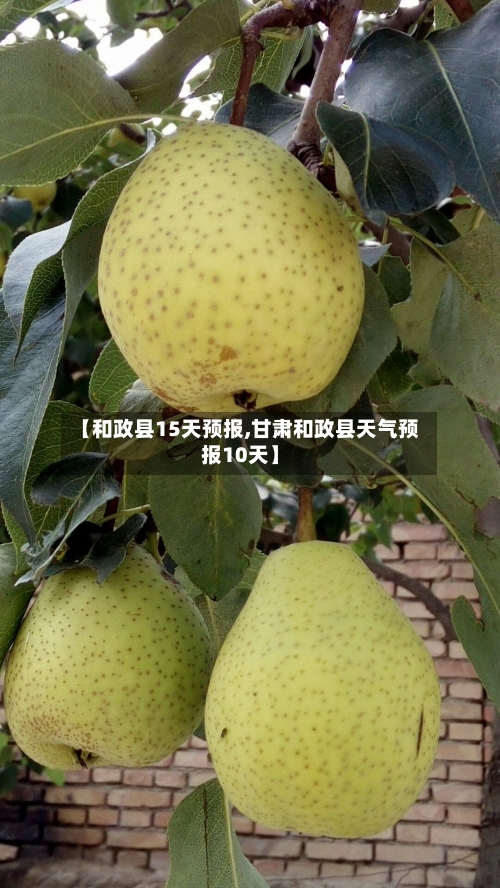 【和政县15天预报,甘肃和政县天气预报10天】