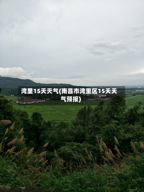 湾里15天天气(南昌市湾里区15天天气预报)