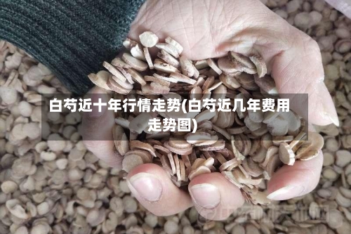 白芍近十年行情走势(白芍近几年费用走势图)
