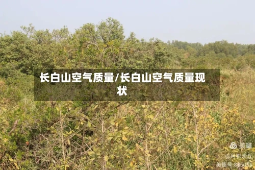 长白山空气质量/长白山空气质量现状