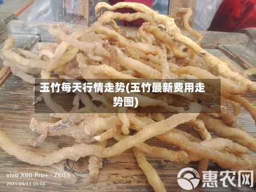 玉竹每天行情走势(玉竹最新费用走势图)