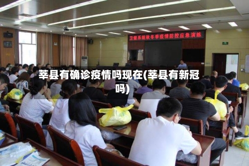 莘县有确诊疫情吗现在(莘县有新冠吗)