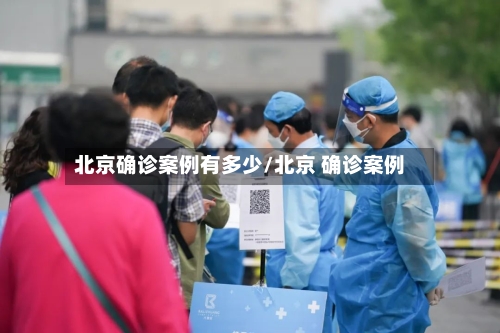 北京确诊案例有多少/北京 确诊案例