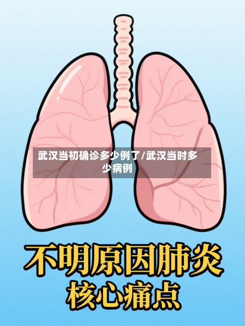 武汉当初确诊多少例了/武汉当时多少病例