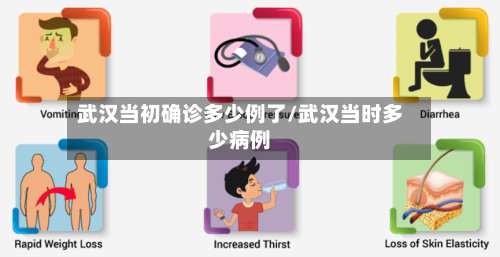 武汉当初确诊多少例了/武汉当时多少病例