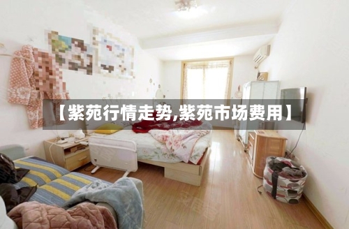 【紫苑行情走势,紫苑市场费用】