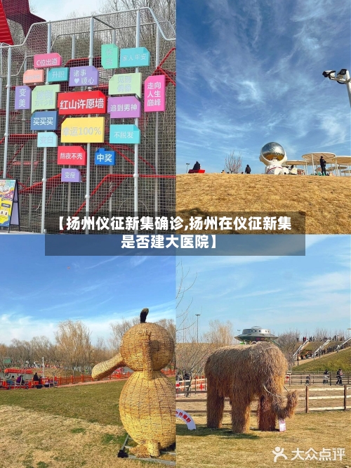 【扬州仪征新集确诊,扬州在仪征新集是否建大医院】
