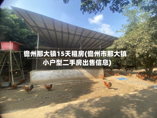 儋州那大镇15天租房(儋州市那大镇小户型二手房出售信息)