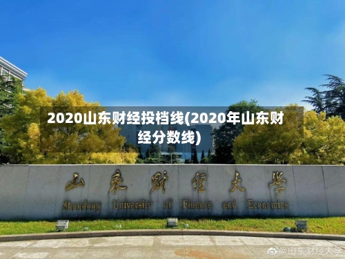 2020山东财经投档线(2020年山东财经分数线)