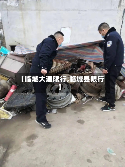 【临城大道限行,临城县限行】