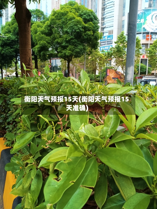 衡阳天气预报15天(衡阳天气预报15天准确)
