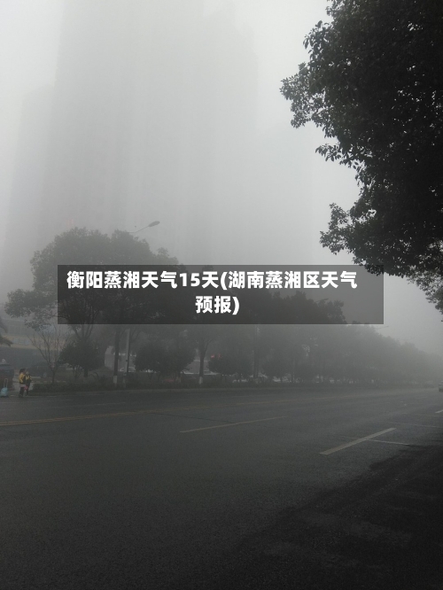 衡阳蒸湘天气15天(湖南蒸湘区天气预报)