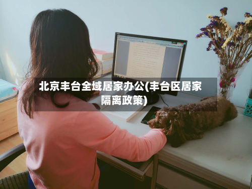 北京丰台全域居家办公(丰台区居家隔离政策)