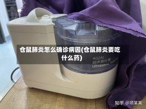 仓鼠肺炎怎么确诊病因(仓鼠肺炎要吃什么药)