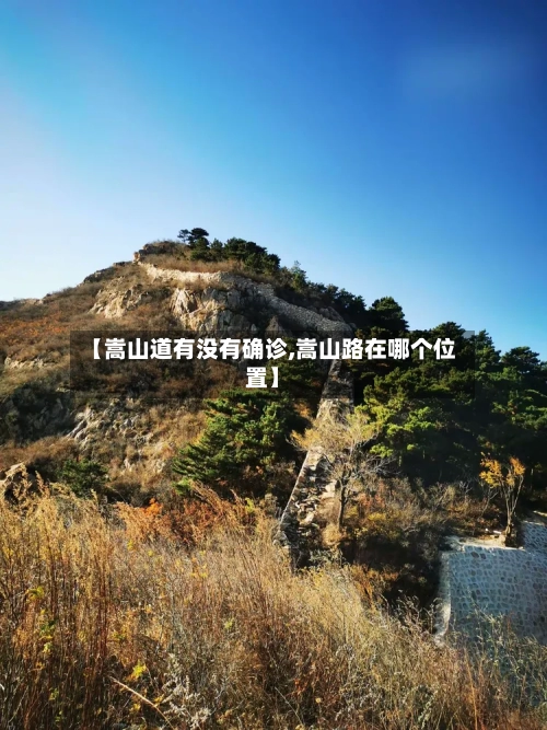 【嵩山道有没有确诊,嵩山路在哪个位置】